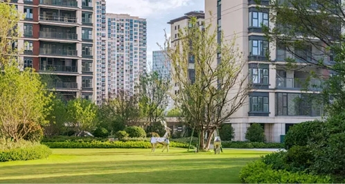 ����HL8��(�й�)������¼���